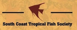 South Coast Tropical Fish Society Auction & Swap 2022