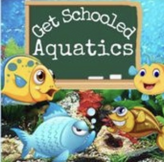 Get Schooled Aquatics Fish Swap October 2022