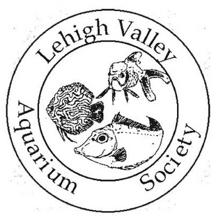 The Lehigh Valley Aquarium Society Swap November 2022