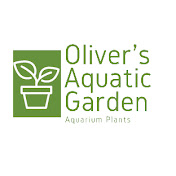 Oliver's Aquatics