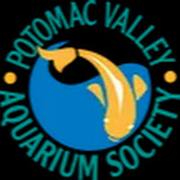 Potomac Valley Aquarium Society