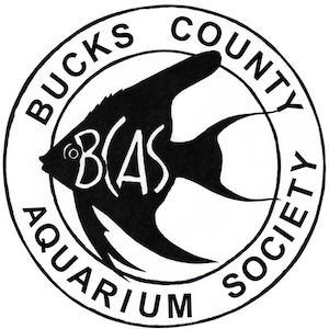 Bucks County Aquarium Society Spring Auction 2023