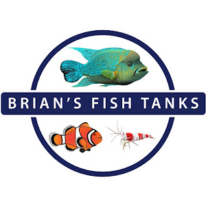 Brian's Fish Tanks (Aquatic Support Systems)