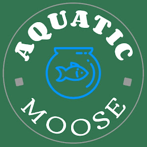 Aquatic Moose