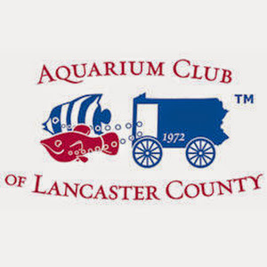 Aquarium Club of Lancaster County