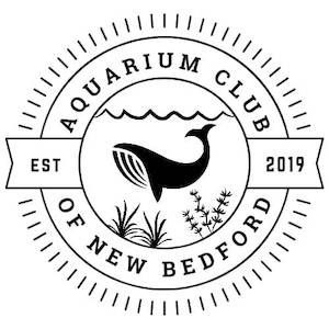 Aquarium Club of New Bedford