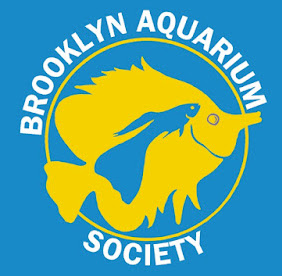 Brooklyn Aquarium Society