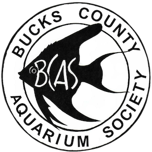 Bucks County Aquarium Society
