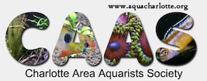 Charlotte Area Aquarists Society