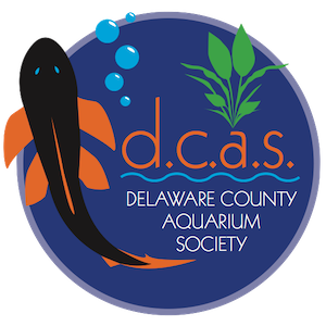 Delaware County Aquarium Society