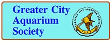 Greater City Aquarium Society
