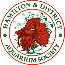 Hamilton & District Aquarium Society