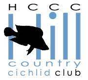 Hill Country Cichlid Club