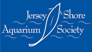 Jersey Shore Aquarium Society