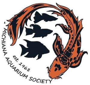 Michiana Aquarium Society