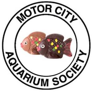 Motor City Aquarium Society