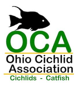 Ohio Cichlid Association