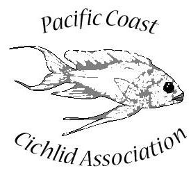 Pacific Coast Cichlid Association