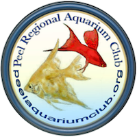 Peel Regional Aquarium Club