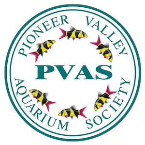 Pioneer Valley Aquarium Society