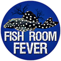 Fish Room Fever