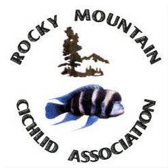 Rocky Mountain Cichlid Association