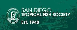 San Diego  Killifish Group & Livebearer Group 