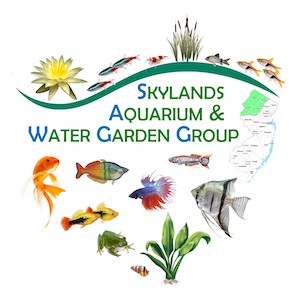Skylands Aquarium& Water Garden Group