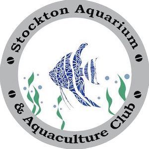 Stockton Aquarium and Aquaculture Club
