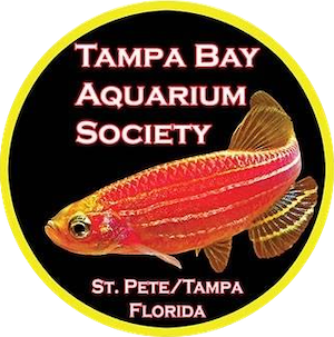 Tampa Bay Aquarium Society