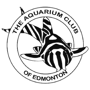 The Aquarium Club of Edmonton