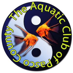 The Aquatic Club of Pasco County