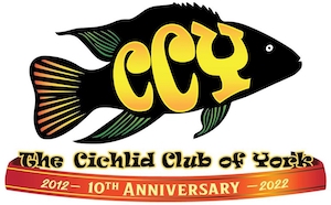 The Cichlid Club of York