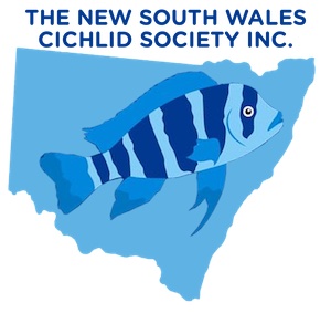 The New South Wales Cichlid Society