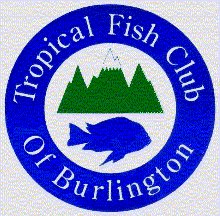 The Tropical Fish Club of Burlington