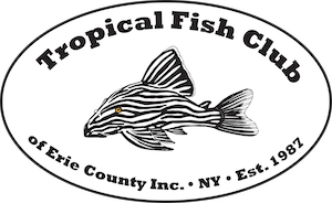Tropical Fish Club Of Erie County