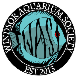 Windsor Aquarium Society