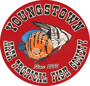 Youngstown Area Tropical Fish Society