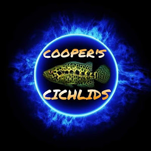 COOPER'S CICHILDS