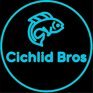 Cichlid Bros