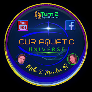 Our Aquatic Universe w/ Mike B.