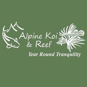 Alpine Koi & Reef