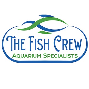 The Fish Crew