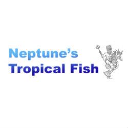 Neptune's Tropical Fish