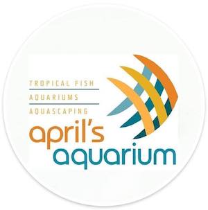 April's Aquariums