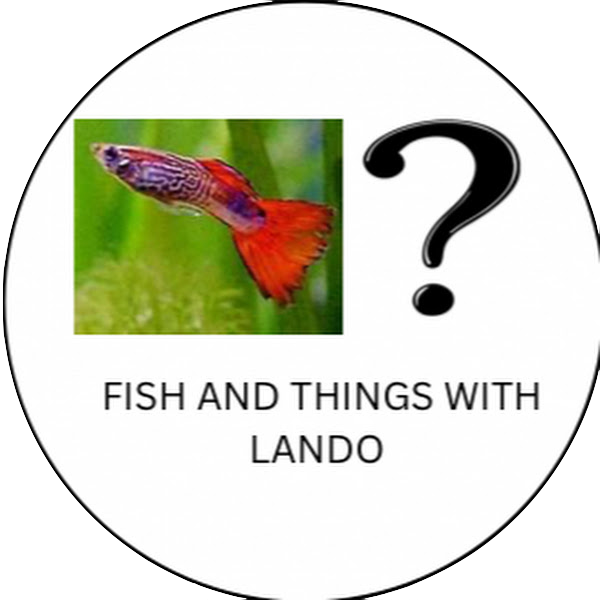 Fish and things with lando