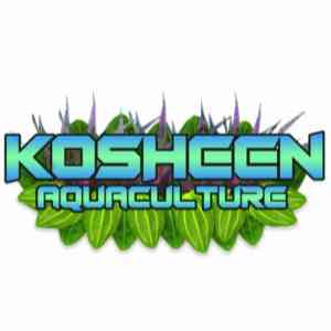 Kosheen Aquaculture