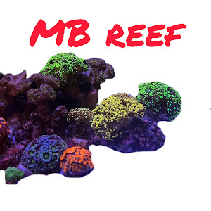 MB reef