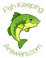 FishKeepingAnswers