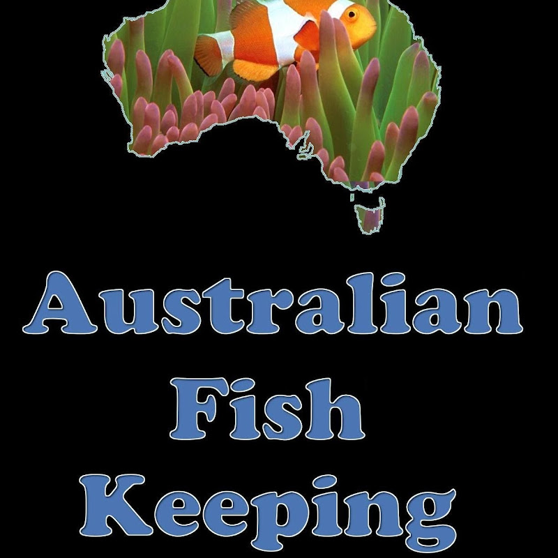 AussieFishKeeping